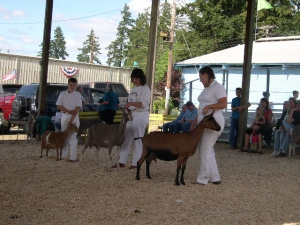 summer-2007-261
